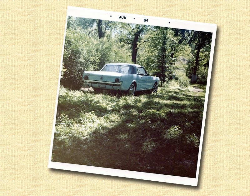 På skogsäventyr i juni 1964.