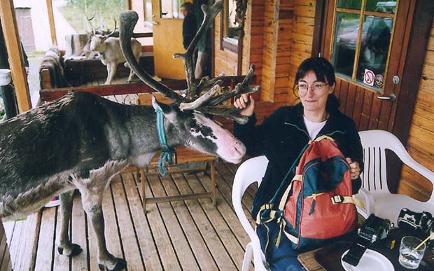 Fransyskan Francoise Privat får påhälsning av en ren i Mittådalens sameby i Härjedalen. Ett av många exotiska inslag som norra Sverige bjuder de utländska deltagarna på.