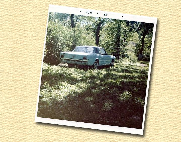 På skogsäventyr i juni 1964.